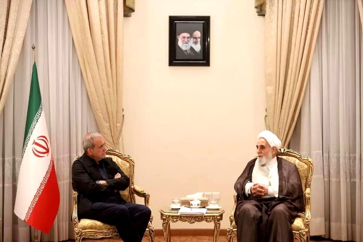 تصویر دیدار مشورتی پزشکیان و ناطق نوری
