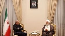 تصویر دیدار مشورتی پزشکیان و ناطق نوری