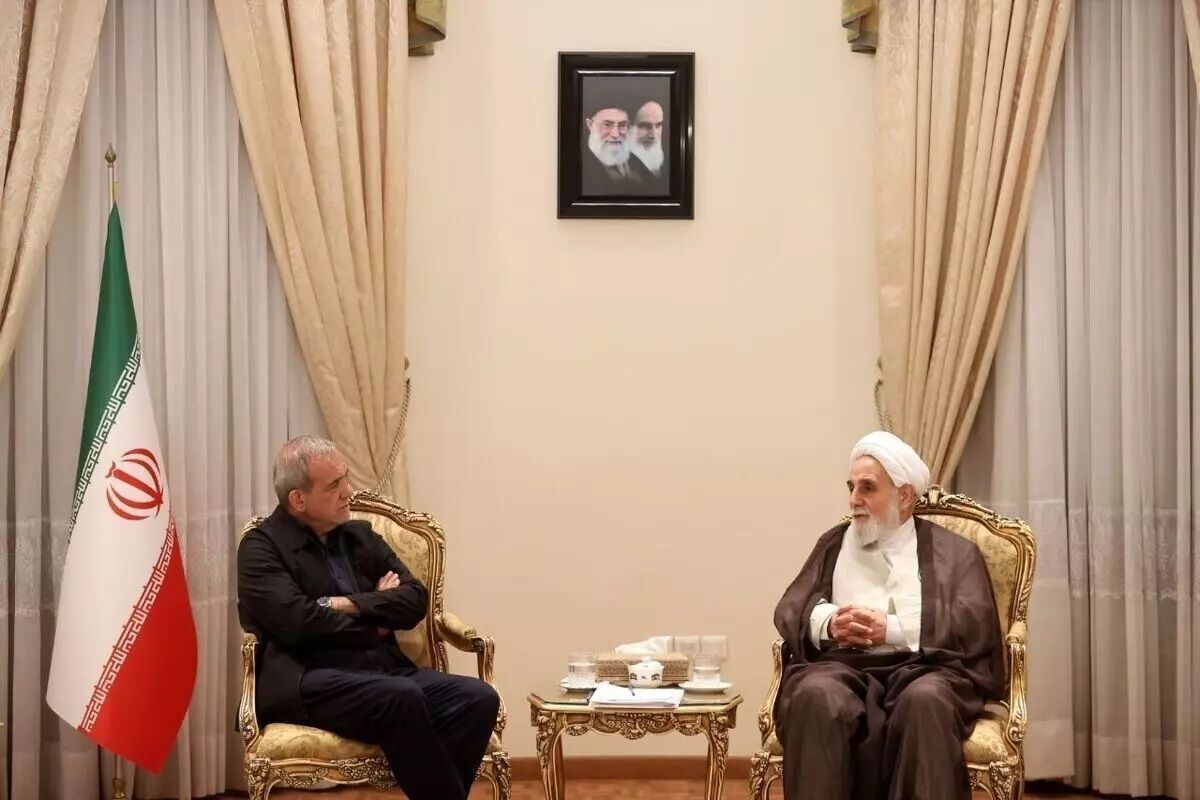 تصویر دیدار مشورتی پزشکیان و ناطق نوری