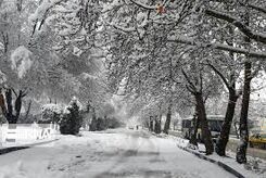 برف و باران در راه ایران