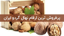 پرفروش ترین ارقام نهال گردو ایران چه ارقامی می باشند