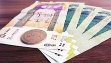 یارانه 110 هزار تومانی سهم اقشار آسیب پذیر