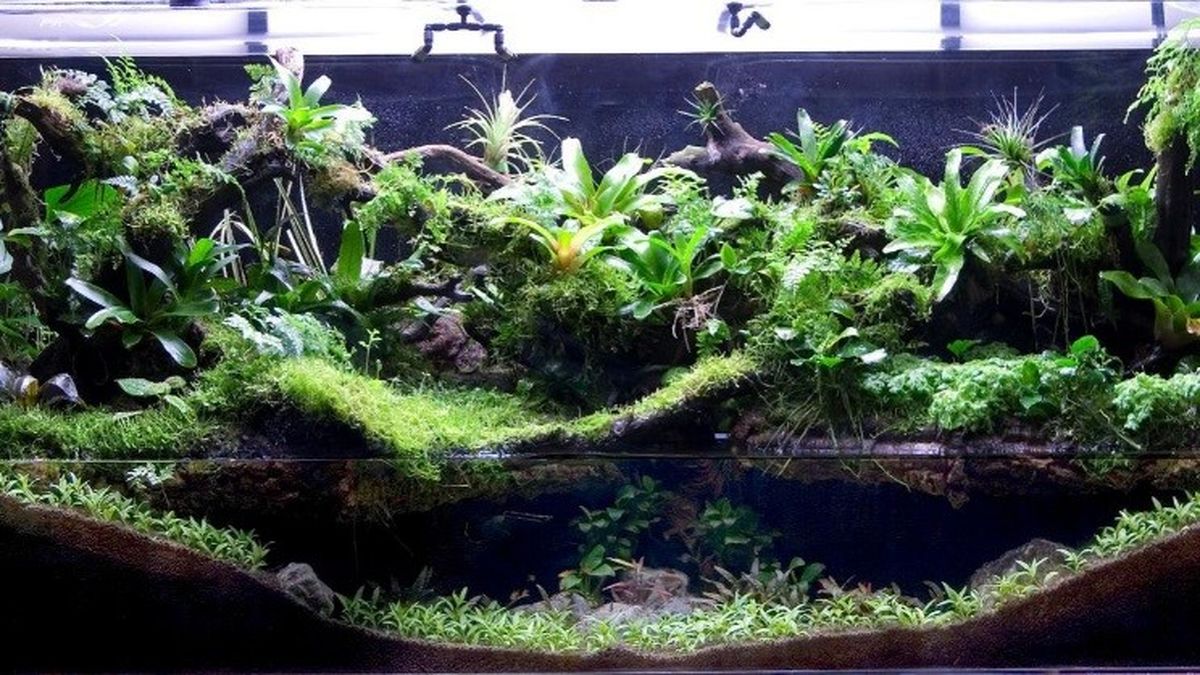 پالداریوم یک هدیه متفاوت برای ولنتاین و روز مادر