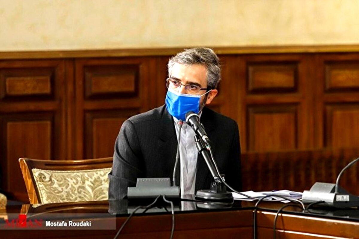 هدف اصلی گفت‌وگوهای وین از زبان باقری
