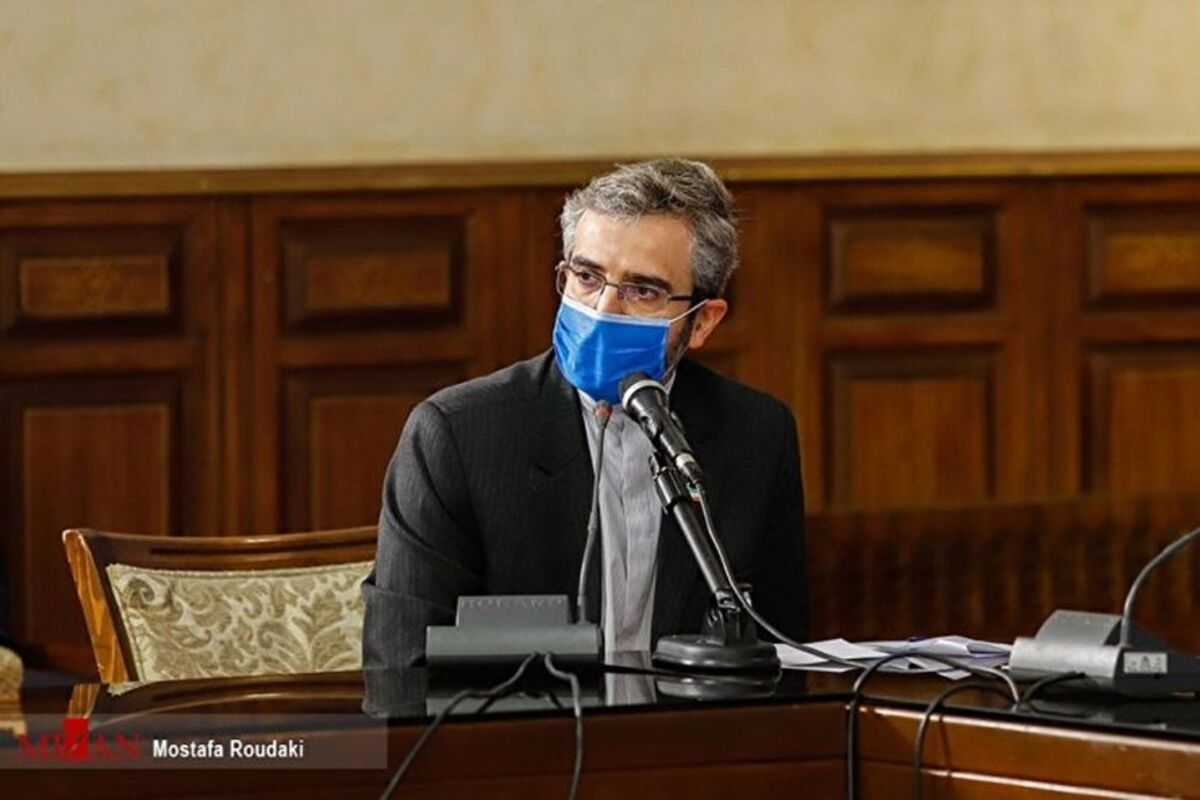 هدف اصلی گفت‌وگوهای وین از زبان باقری