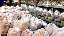 مرغ ارزان در راه بازار