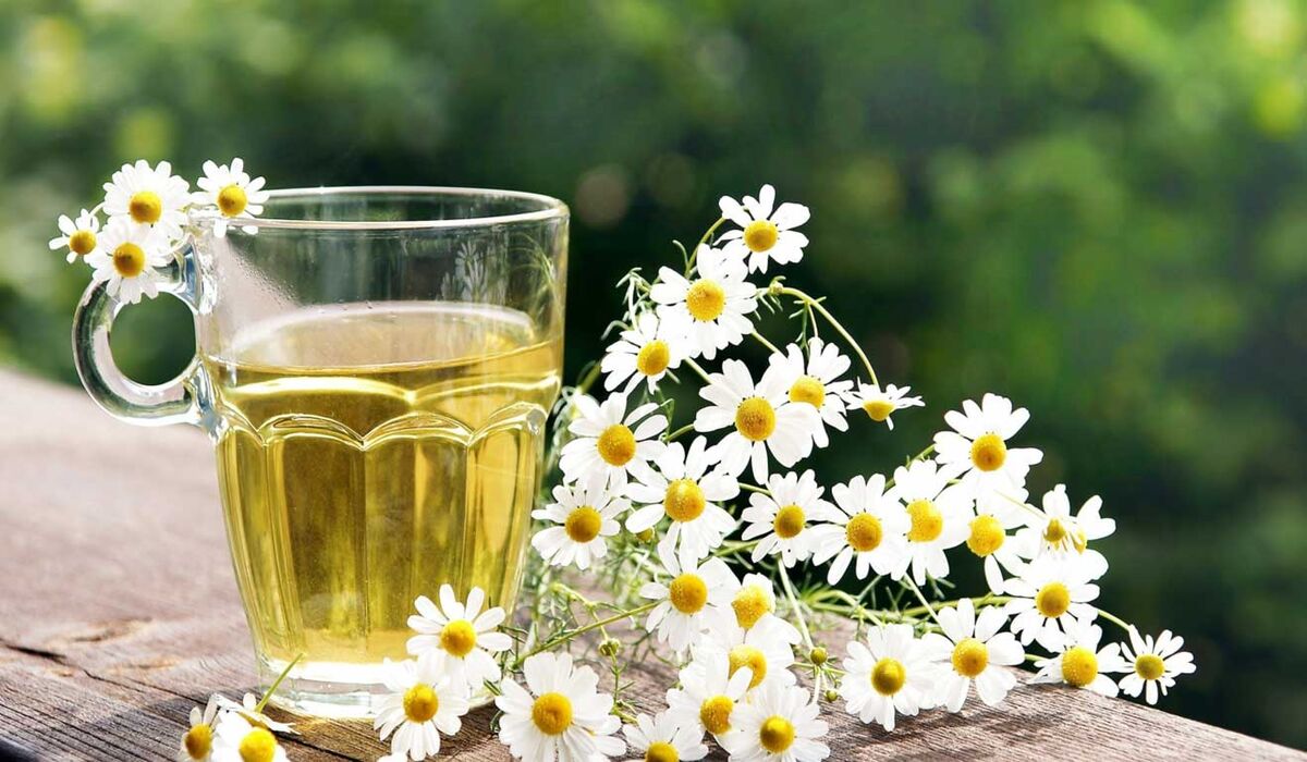 فواید دمنوش بابونه