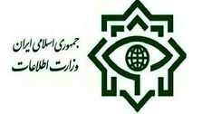 بیانیه وزارت اطلاعات درباره حوادث اخیر در مدارس