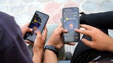 قیمت همستر کامبت در صرافی اعلام شد