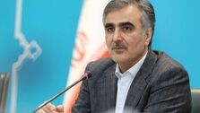 فرزین از ایران رفت