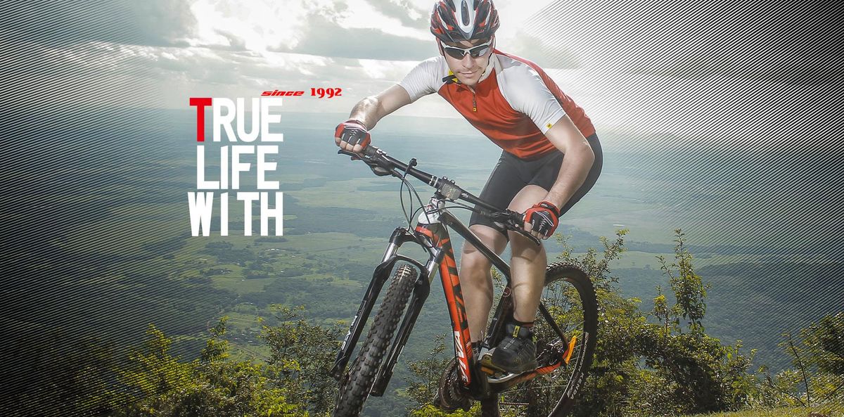 [راهکارهای مفید برای خرید دوچرخه ویوا ]بررسی قیمت دوچرخه ویوا در سبک‌های گوناگون