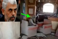مالک خانه ای که یحیی سنوار در آن شهید شد فیلمی از آنجا منتشر کرد
