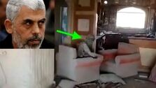 مالک خانه ای که یحیی سنوار در آن شهید شد فیلمی از آنجا منتشر کرد