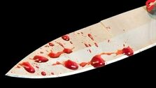 دستگیری قاتل فراری پس از 15 سال / در کوهدشت فاش شد