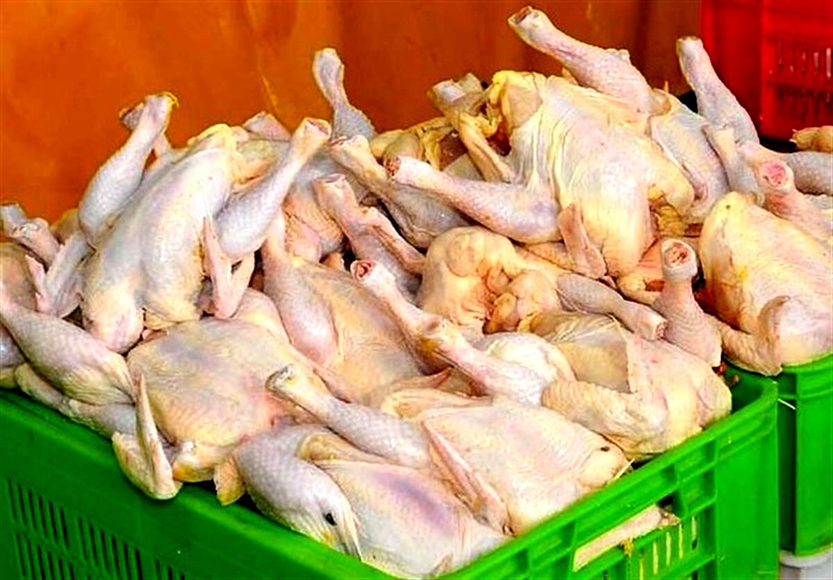 هشدار، دستور جدید اتحادیه مرغداران/قیمت مرغ ارزان شد؟