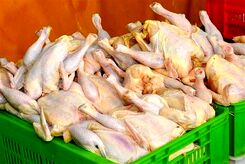 هشدار، دستور جدید اتحادیه مرغداران/قیمت مرغ ارزان شد؟