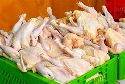 قیمت مرغ به شدت کاهش یافت | قیمت مرغ به 50 هزار تومان رسید! | آخرین قیمت مرغ امروز 23 شهریور