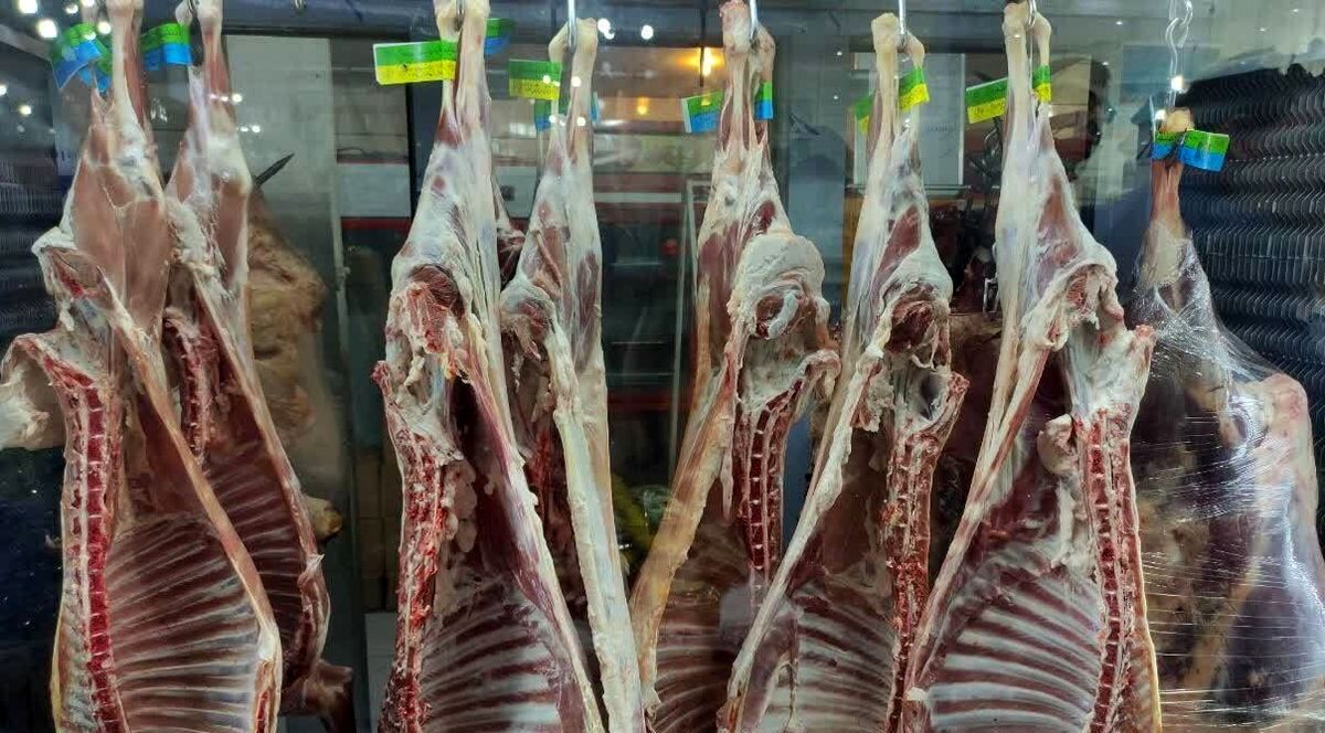 هشدار فوری:تایید ورود ۷۰ تن گوشت فاسد به ایران