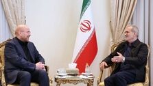 برخورد گرم قالیباف هنگام رسیدن به پزشکیان + فیلم