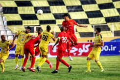 خرید نکونام این بار گل ساخت(عکس)