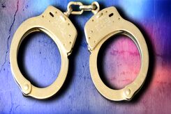 2 زن جوان به عنوان خدمتکار به خانه‌ها می‌رفتند و نقشه پلید خود را اجرا می‌کردند