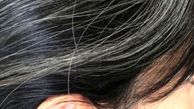 آیا موهای سفید می توانند دوباره سیاه شوند؟