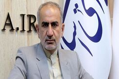   برخی نمایندگان، مناطق آزاد را با حوزه انتخابیه خود مقایسه می‌کنند
