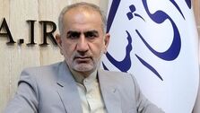   برخی نمایندگان، مناطق آزاد را با حوزه انتخابیه خود مقایسه می‌کنند