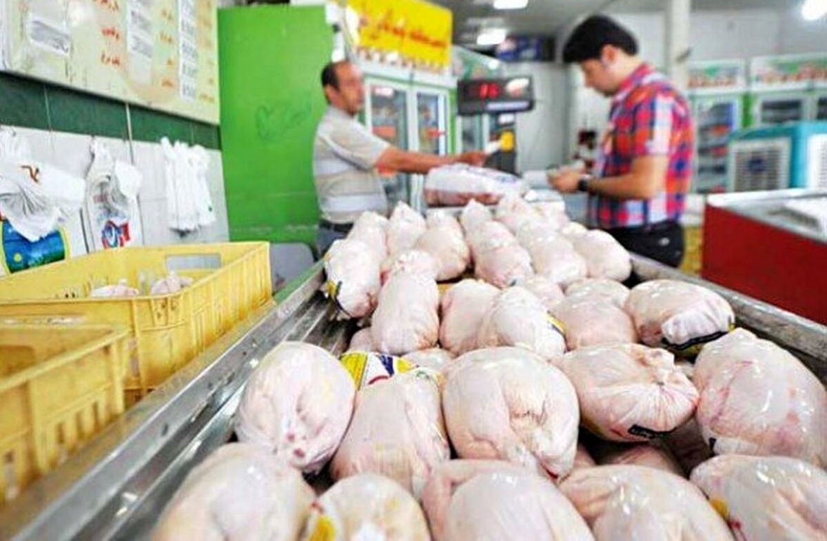 قیمت مرغ گرم ۴ خرداد ۱۴۰۱/ ضرورت عرضه کارت پروتئین به مردم
