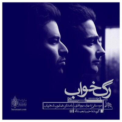 دانلود آهنگ همایون شجریان رگ خواب