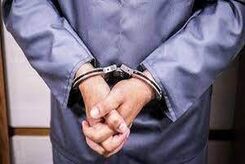 لحظه دستگیری قاتل دکتر مسعود داوودی+ویدئو