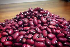 چگونه بهترین لوبیا را برای خورشت قورمه سبزی انتخاب کنیم؟