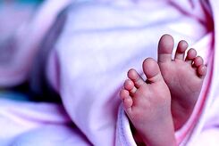 بازار داغ رحم اجاره ای؛ قیمت ها تا ۹۰۰ میلیون هم می رسد!