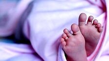 قیمت رحم اجاره‌ای سر به فلک کشید