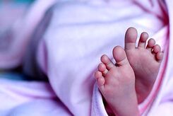 قیمت رحم اجاره‌ای سر به فلک کشید
