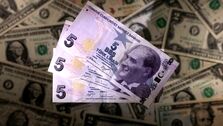 قیمت لیر در سراشیبی سقوط / لیر در مقابل دلار به زانو افتاد