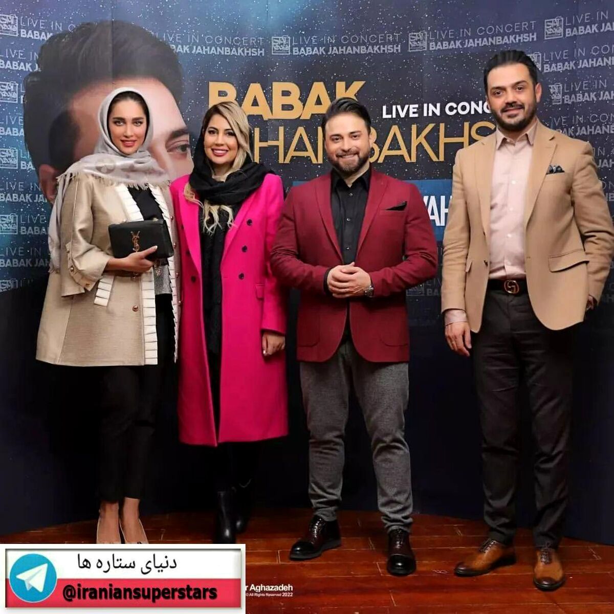 آناشید حسینی در کنسرت بابک جهانبخش+ عکس