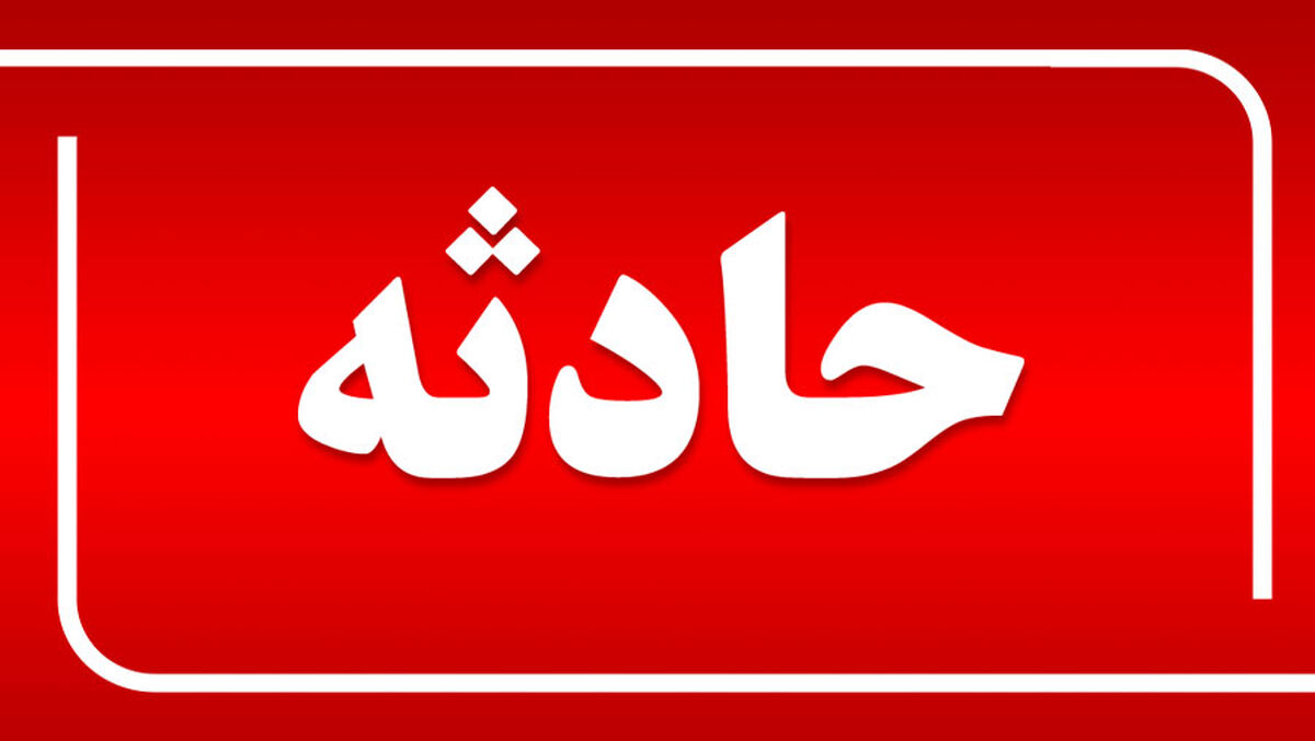 سگ‌های ولگرد گوش پسر بچه را کندند| عکس پسر بچه