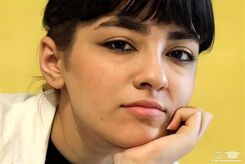 دستگیری ۸ نفر در رابطه با درگذشت نیکا شاکرمی|جزییات ماجرا