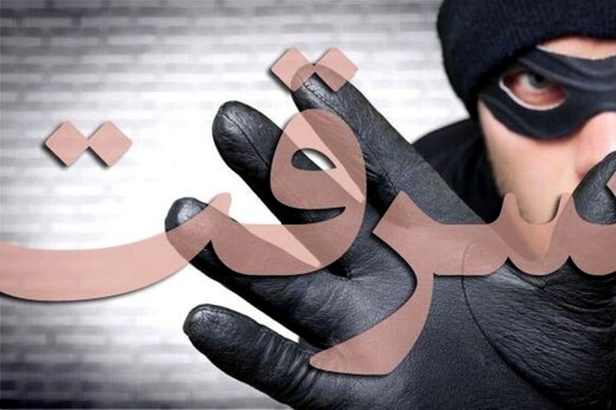 لحظه غافلگیری زوج سارق در حین سرقت از خانه