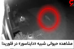 فیلم واقعی از دایناسور واقعی زنده! ؛ آماده باش در فلوریدای وحشت زده! +فیلم