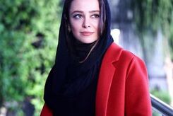 انتقاد الناز حبیبی از برخورد نامناسب با رانندگی خانم‌ها