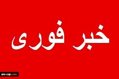 خبر اعجاب انگیز | کوچک‌ترین و سبک ترین ماه‌نورد جهان را تماشا کنید