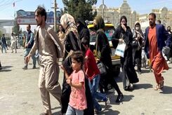 آمار ترسناک سازمان بین‌المللی مهاجرت از سکونت افغان ها در ایران