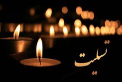 ۳ روز عزای عمومی در کشور اعلام شد