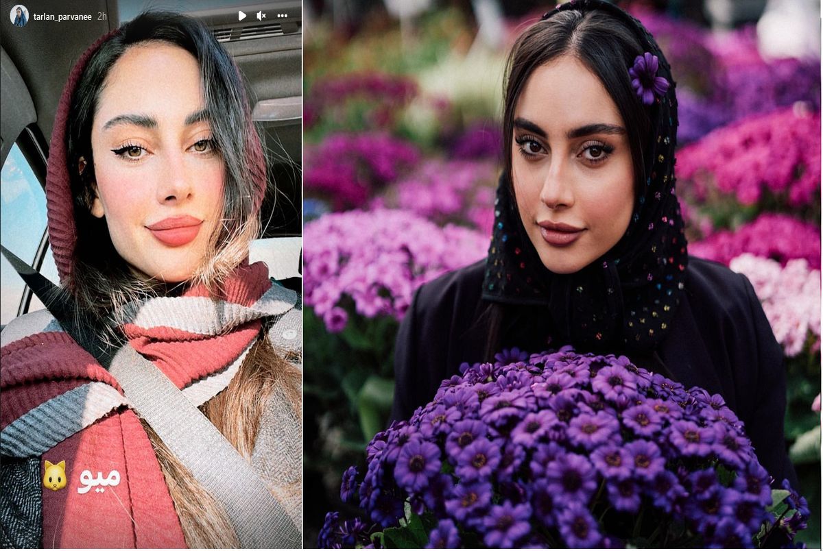 عکس زیبای ترلان پروانه در طبیعت| ببینید
