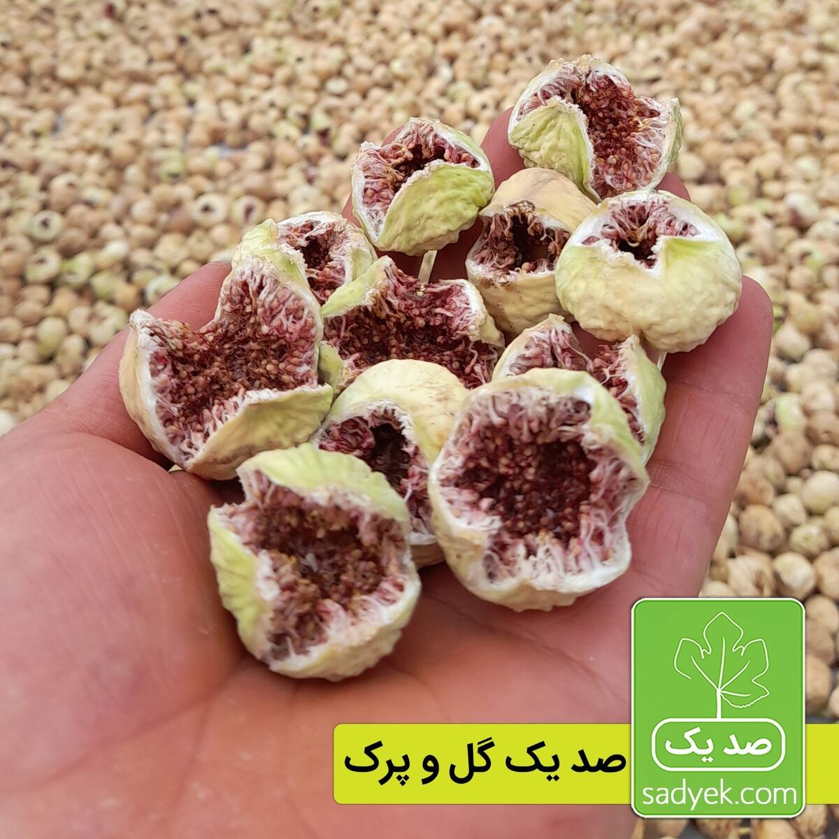فواید انجیر خشک برای زنان

