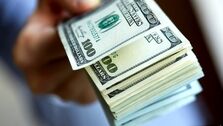 بازار ارز چه تأثیری بر روند رشد قیمت دلار دارد؟ | آخرین اخبار قیمت دلار