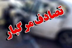 لحظه عجیب و غریب تصادف عابر و 206 + فیلم