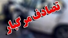 لحظه عجیب و غریب تصادف عابر و 206 + فیلم